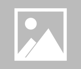 新手入门指南：米兰milan